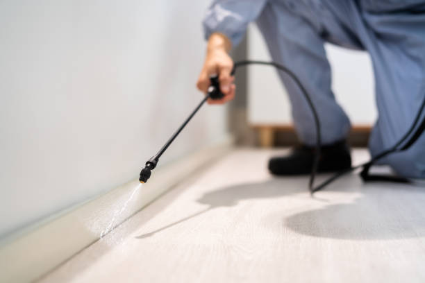 Bed Bug Pre-Treatment Preparation Assessment in Tarkio
