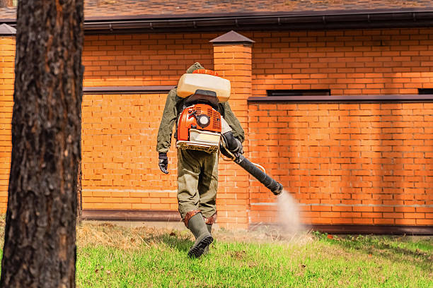 Bed Bug Clearance Verification and Documentation in Tarkio